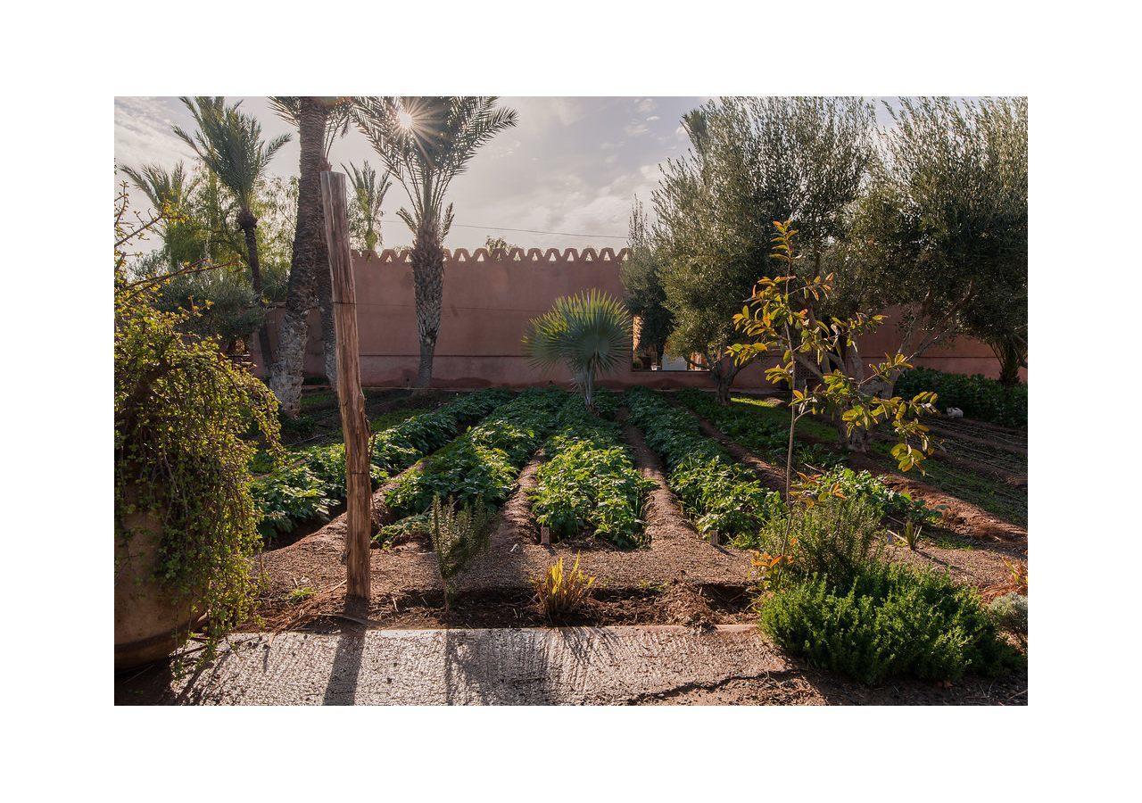Villa 55 Marrakech 马拉喀什 外观 照片