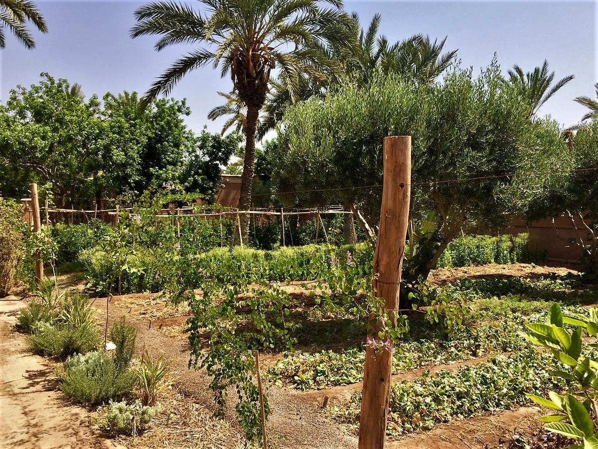 Villa 55 Marrakech 马拉喀什 外观 照片
